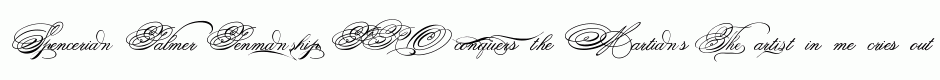 Spencerian Palmer Penmanship PRO