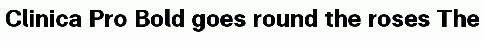 Clinica Pro Bold