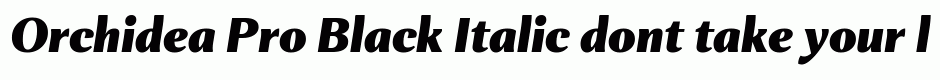 Orchidea Pro Black Italic