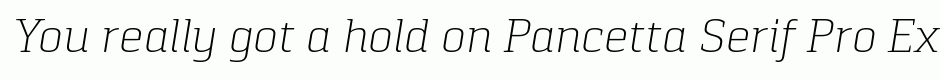 Pancetta Serif Pro ExtraLight Italic