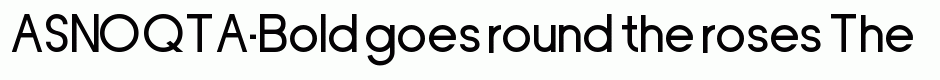 ASNOQTA-Bold