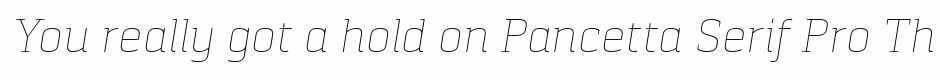 Pancetta Serif Pro Thin Italic