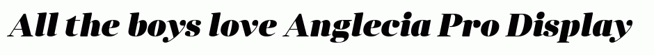 Anglecia Pro Display Black Italic
