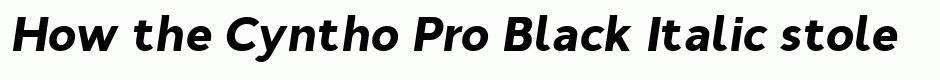 Cyntho Pro Black Italic