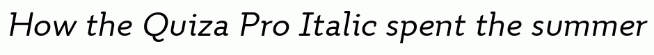Quiza Pro Italic