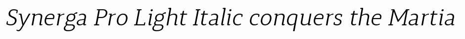 Synerga Pro Light Italic