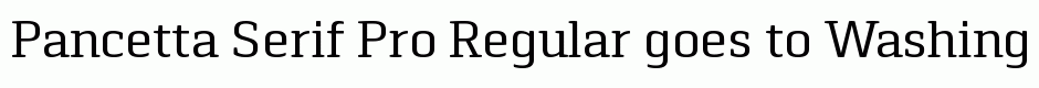 Pancetta Serif Pro Regular