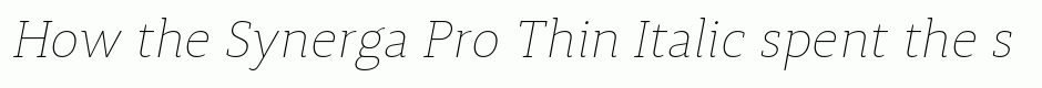 Synerga Pro Thin Italic