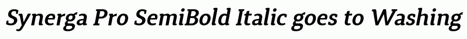 Synerga Pro SemiBold Italic