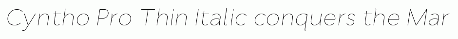 Cyntho Pro Thin Italic