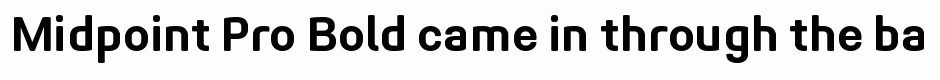 Midpoint Pro Bold