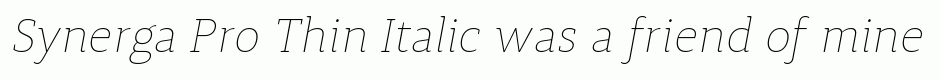 Synerga Pro Thin Italic