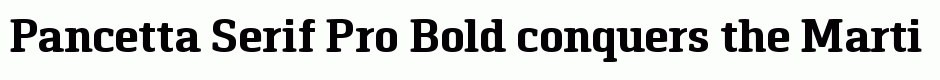 Pancetta Serif Pro Bold