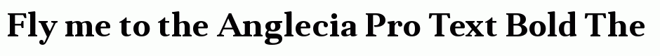 Anglecia Pro Text Bold