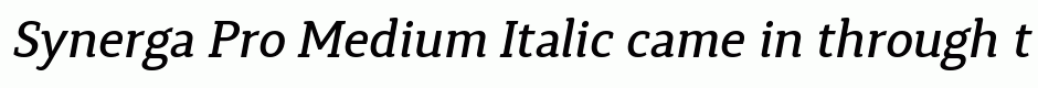 Synerga Pro Medium Italic