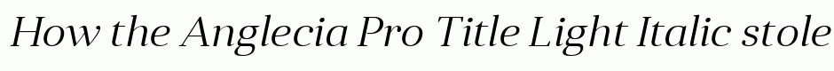Anglecia Pro Title Light Italic