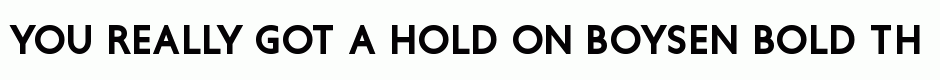 Boysen Bold