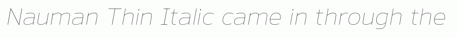 Nauman Thin Italic