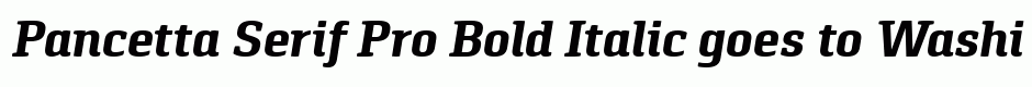 Pancetta Serif Pro Bold Italic