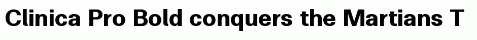 Clinica Pro Bold