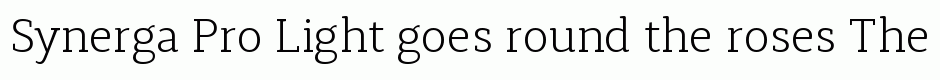 Synerga Pro Light