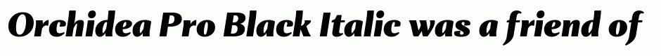 Orchidea Pro Black Italic