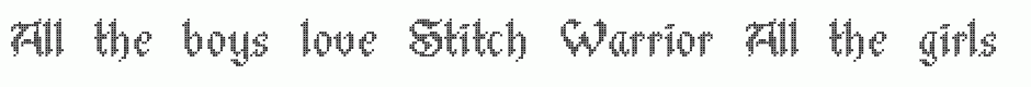 Stitch Warrior