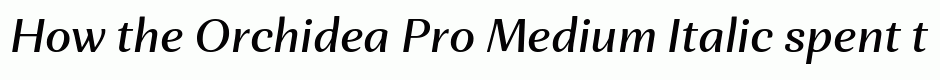 Orchidea Pro Medium Italic