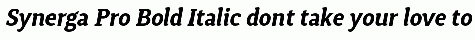 Synerga Pro Bold Italic