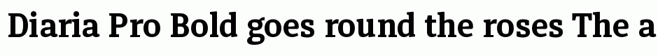 Diaria Pro Bold