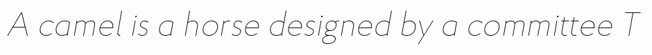 Proba Pro Thin Italic