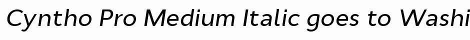 Cyntho Pro Medium Italic