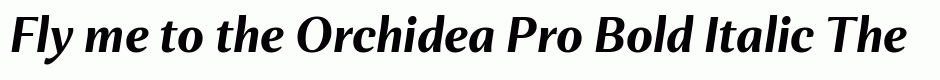 Orchidea Pro Bold Italic