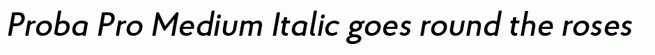 Proba Pro Medium Italic