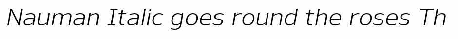Nauman Italic