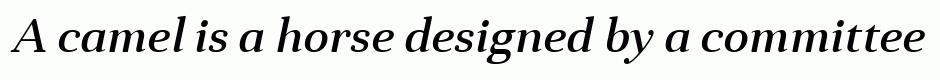 Anglecia Pro Text Medium Italic