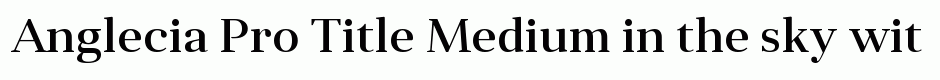Anglecia Pro Title Medium