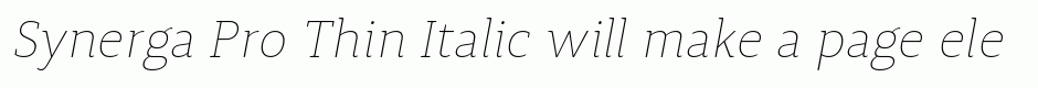 Synerga Pro Thin Italic