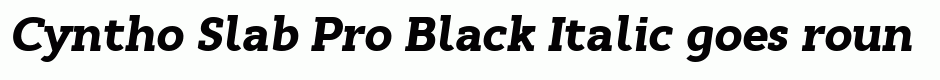 Cyntho Slab Pro Black Italic