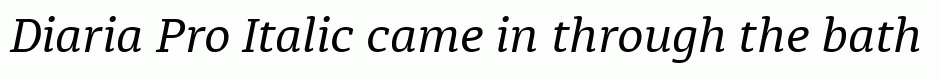 Diaria Pro Italic