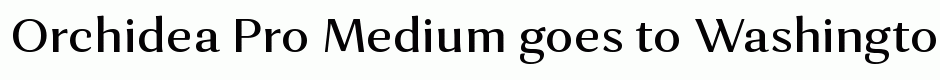 Orchidea Pro Medium