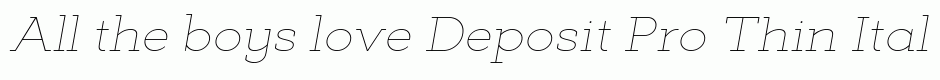 Deposit Pro Thin Italic