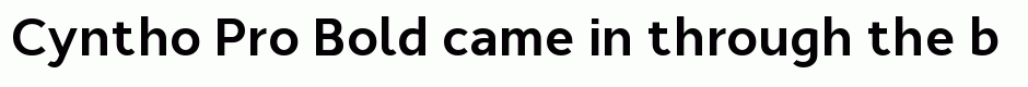 Cyntho Pro Bold