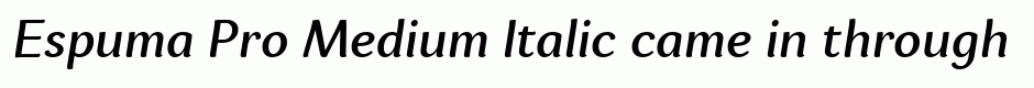 Espuma Pro Medium Italic