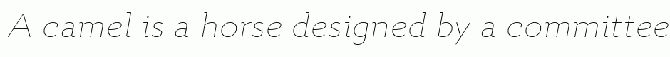 Quiza Pro Thin Italic