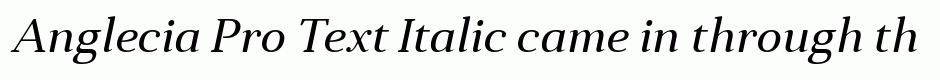 Anglecia Pro Text Italic