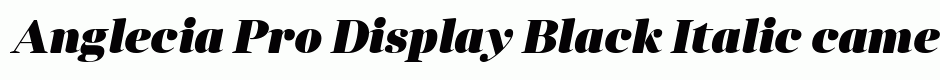 Anglecia Pro Display Black Italic