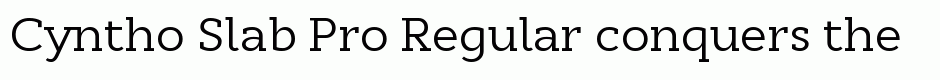 Cyntho Slab Pro Regular