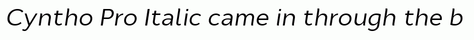 Cyntho Pro Italic