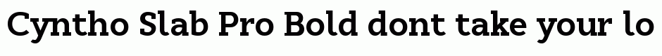 Cyntho Slab Pro Bold